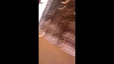 Snapshot of wgebnnrfodwt chatting on 04/03/26, 07:01 wgebnnrfodwt online show from 04/03/26, 07:01