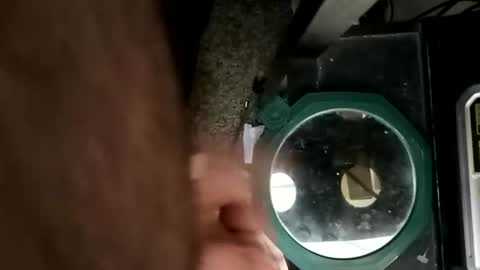 whetedoyouwantmetoputit online show from 03/10/26, 05:18