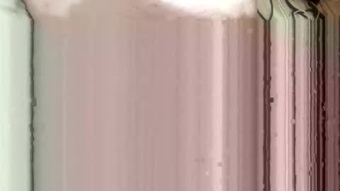 whispereddy online show from 03/09/26, 11:03