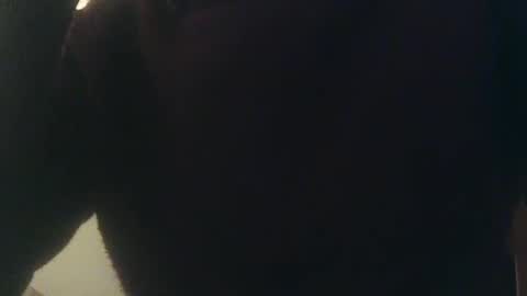 Whiteduke online show from 01/03/25, 12:33