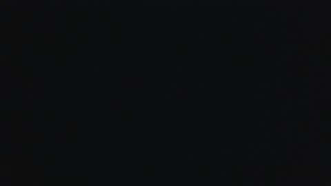 whitehead_lion online show from 09/18/25, 07:21