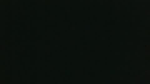 whitehead_lion online show from 12/15/25, 08:24