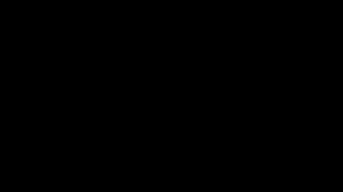 whitehead_lion online show from 02/04/26, 09:53