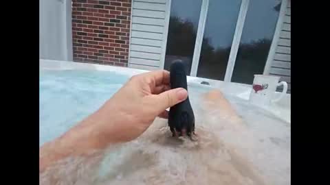 whiteoak19522 online show from 04/18/26, 10:41