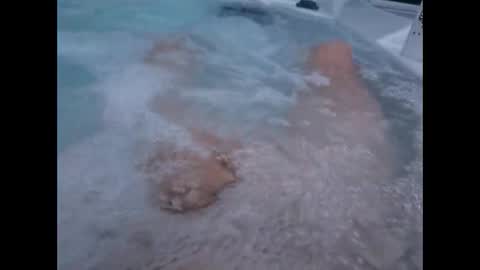 whiteoak19522 online show from 04/24/26, 09:56