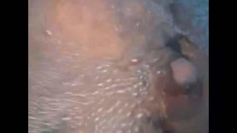 whiteoak19522 online show from 04/27/26, 09:51