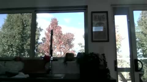 whitepantyman1973 online show from 04/29/26, 03:10