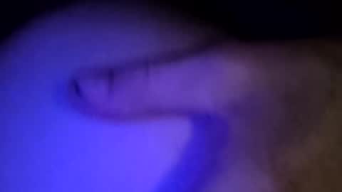 Snapshot of whodunnitwrangler chatting on 02/08/26, 05:55 whodunnitwrangler online show from 02/08/26, 05:55