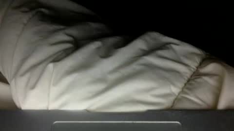 Snapshot of wholesomebull00 chatting on 11/10/25, 04:55 wholesomebull00 online show from 11/10/25, 04:55