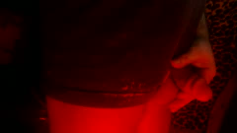 whor4mor online show from 02/24/25, 02:26