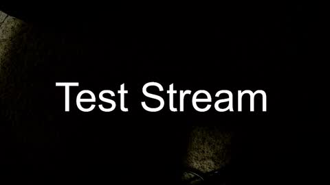 Snapshot of whowhat314159 chatting on 10/30/25, 03:30 Will online show from 10/30/25, 03:30