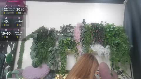 wiagra online show from 04/18/26, 07:07