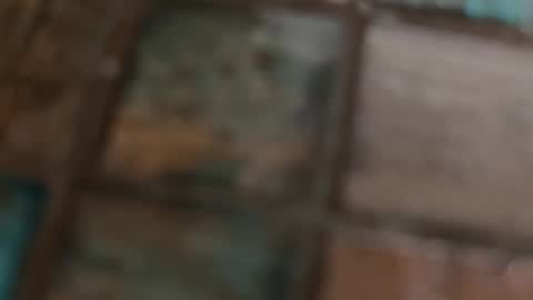 Snapshot of wievin chatting on 02/10/26, 10:19 VI online show from 02/10/26, 10:19