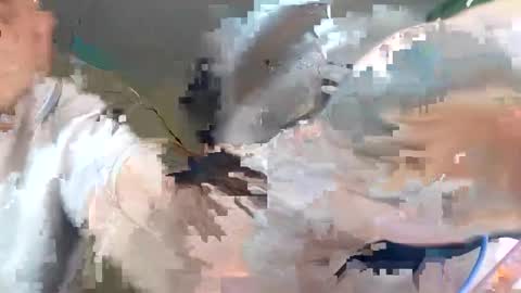 Snapshot of wikibitch chatting on 10/10/25, 09:25 WikiBitch online show from 10/10/25, 09:25