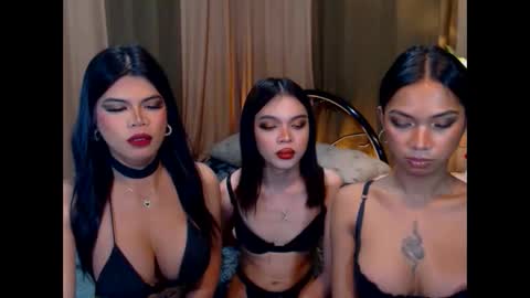 wildara online show from 10/22/25, 10:59