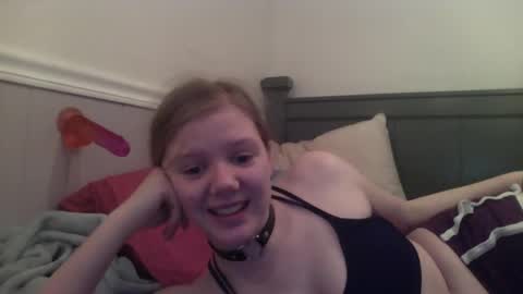 wildflowerofco online show from 01/25/25, 10:50