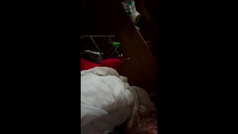 wildkatxx20 online show from 03/19/26, 12:42