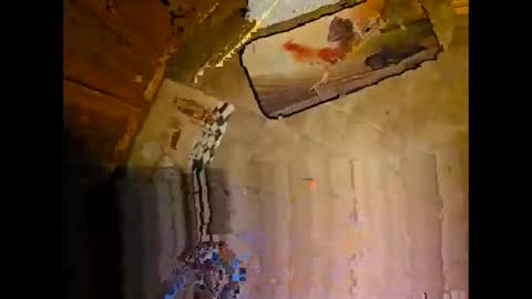 wildman2900 online show from 12/08/24, 03:24