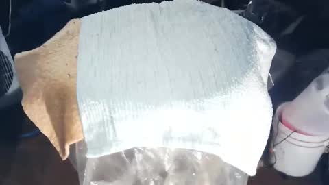 wildman6 online show from 11/17/25, 08:47