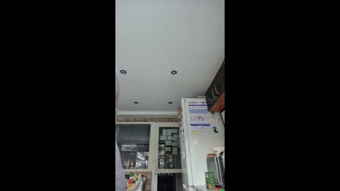 WildPersia online show from 01/15/26, 09:47