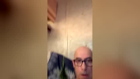 will19672025 online show from 04/11/26, 09:57