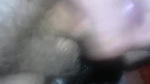 willcam22 online show from 04/15/26, 03:08