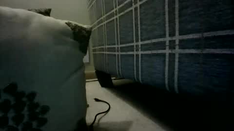 Willhedoher online show from 03/04/26, 12:33