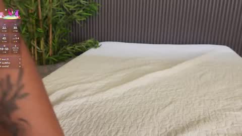 Ms Willow online show from 04/15/26, 07:58