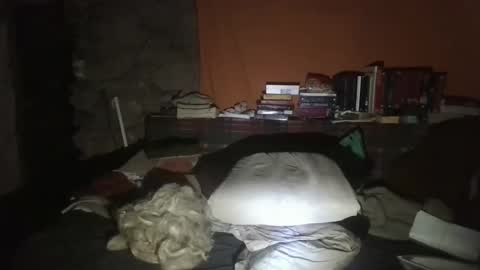 willy2969 online show from 01/30/25, 03:11
