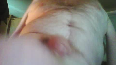 Snapshot of willystroker78 chatting on 04/25/26, 12:41 Willy Stroker online show from 04/25/26, 12:41