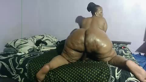 wilmaassylum online show from 01/24/25, 03:13