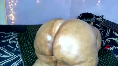 wilmaassylum online show from 11/20/25, 05:51