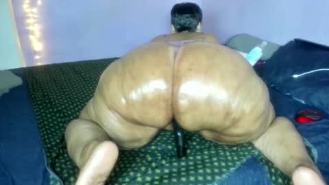 wilmaassylum online show from 12/18/25, 06:19