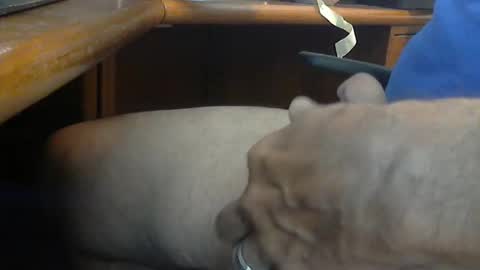 Wineman88886 online show from 03/21/26, 05:05