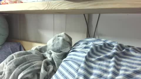 Danii online show from 03/07/25, 02:36