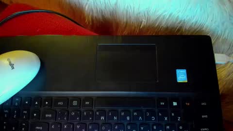 Winter Miracle online show from 01/20/25, 07:36