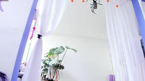     Luna Violeta  A r t i s t  online show from 10/28/25, 04:42