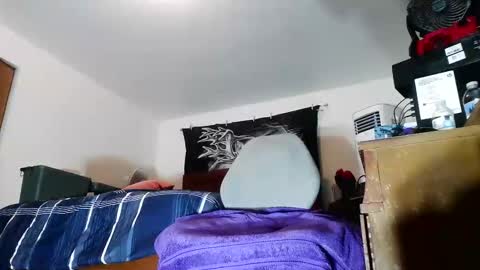 wolfman79 online show from 02/07/26, 11:47