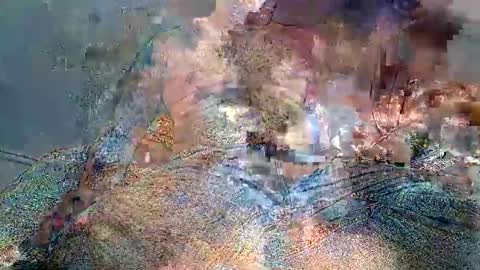 wolf boy online show from 02/02/26, 03:49