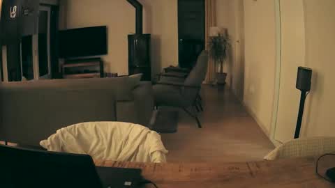 woodwurm and Snoeske online show from 01/11/26, 05:56