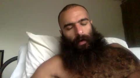 woof_wolf37 online show from 03/31/26, 03:56