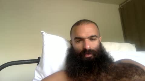 woof_wolf37 online show from 04/21/26, 04:12