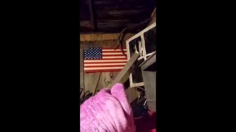 wowsers7 online show from 03/25/26, 04:40