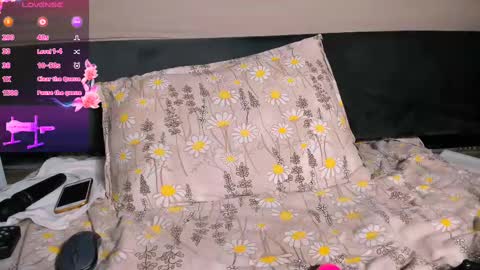              online show from 02/20/25, 09:55