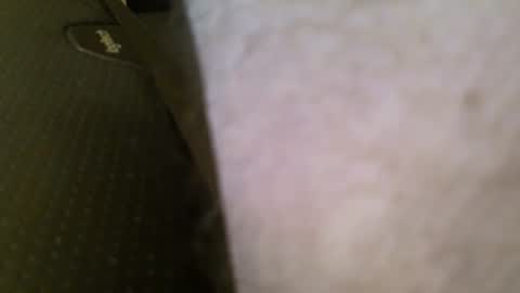 wrangleat0r online show from 01/11/26, 05:56