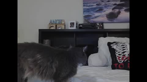 Crystal Lake online show from 09/25/25, 10:19