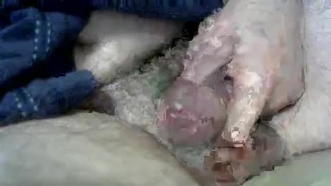 Charles online show from 03/11/25, 06:53