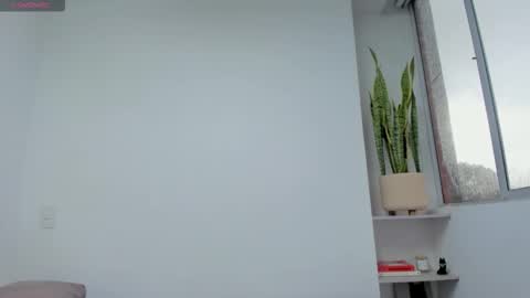 Xavier online show from 11/18/25, 07:40