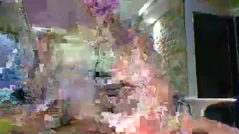 xavii31 online show from 03/11/26, 01:44