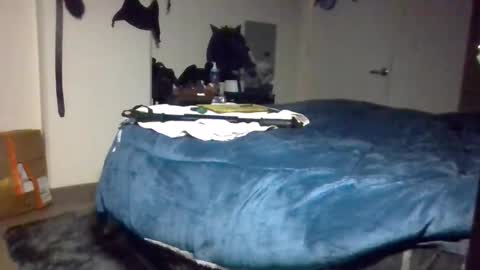 Toke online show from 12/09/24, 02:06